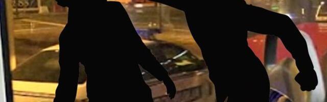 HAOS U ROŽAJAMA: Potukla se braća, povrijeđena i partnerka jedog od njih