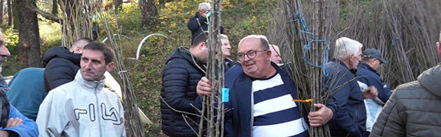 Pribojski voćarima podeljeno 1500 sadnica
