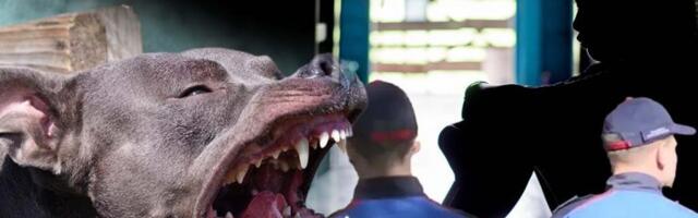 ON JE SPASAVAO ŽIVE GLAVE MLADIĆU I DEVOJCI KOJE JE UMALO UBIO STAFORD NASRED ULICE! Detalji drame na Ceraku lede krv u žilama! OČEVIDAC JOŠ POTRESEN!