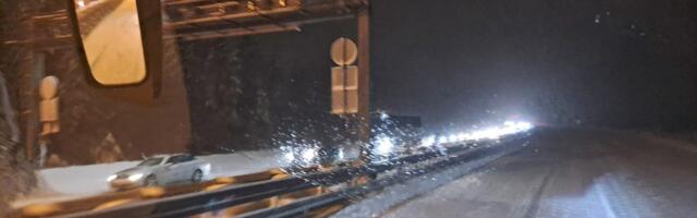 "Povratak iz noćnog života" Vozač u 2.20 na putu kod Loznice naleteo na "gospođu" i nastao HIT SNIMAK