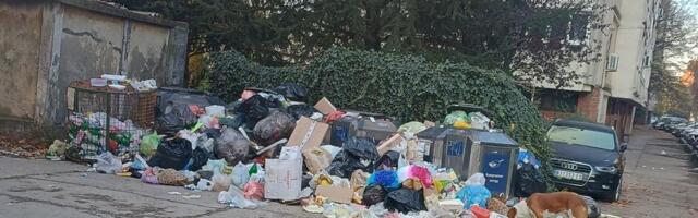 Foto-vest: Opet smeće gde mu mesto nije na Bulevaru Nemanjića u Nišu