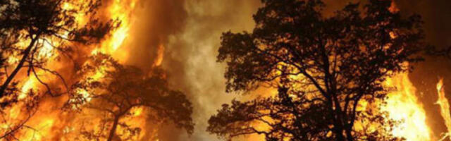 Иран: пожар који гори више од недељу дана захватио делове древних Хирканијских шума