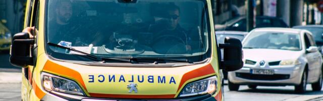 Pitbula našli na ulici i udomili, a on im ubio dete (2): Detalji horora na Zakintosu