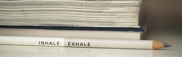 Do sutra traju prijave osmaka za završni ispit i izbor trećeg predmeta