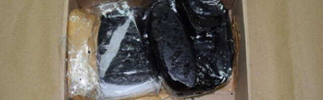 Muškarac i žena naručili drogu preko interneta iz Perua, stigla im poštom