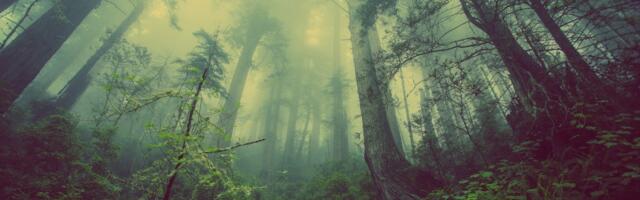 Građani ovog mesta u Srbiji proživljavaju horor: Mučna buka stiže sa svih strana, ne mogu da spavaju