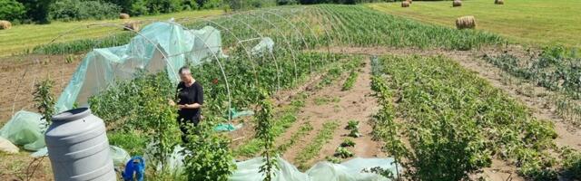 Komisija obavila procenu: TOTALNA ŠTETA od nevremena u kragujevačkim selima