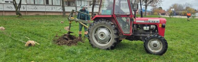 Sadnja lišćarskih i četinarskih sadnica u okviru projekta „Kragujevac u zelenoj boji – priroda u srcu grada“