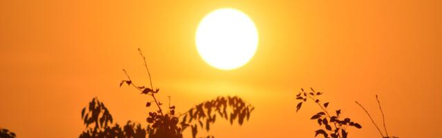 Pred nama sunčan i pravi letnji dan