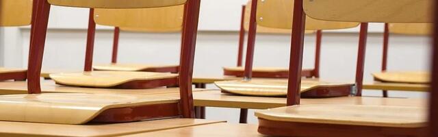 Sud vratio Veru Dujaković na funkciju direktorke niške gimnazije "Stevan Sremac"