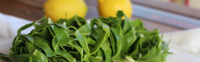 Čuva oči i bubrege: Blitva je VRLO KORISNA za naš organizam, a ovo su njene BLAGODETI!