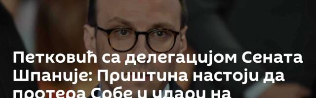 Петковић са делегацијом Сената Шпаније: Приштина настоји да протера Србе и удари на просвету