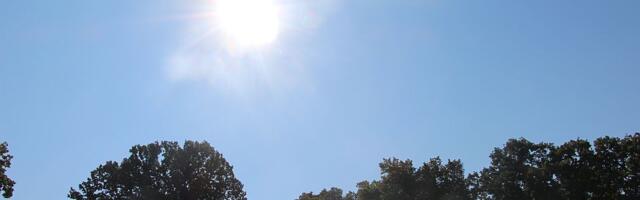 I naredni dani u Novom Sadu prolećni, za vikend sunčano