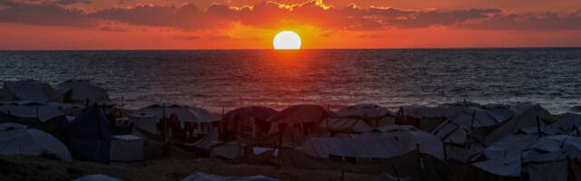 ​Рат у Гази скоро у потпуности уништио целокупно обрадиво земљиште