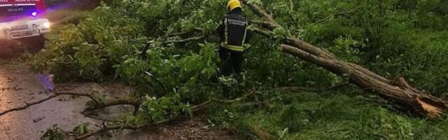 (FOTO) KRAGUJEVAC POD UDAROM OLUJE! Vetar čupao drveće, pucali kablovi, delovi grada bez struje i pod vodom - sve nadležne službe na terenu!