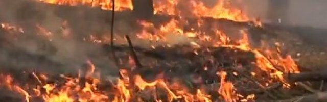 STRAVIČAN POŽAR U ČERNOBILU! Nivo radijacije povećao se čak 16 puta! (Video)