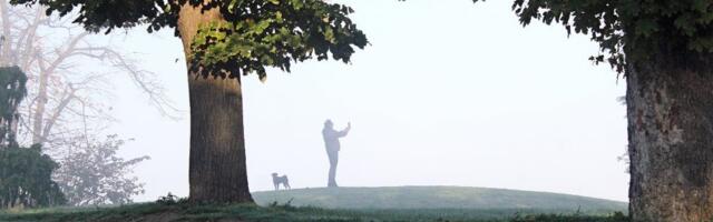 EEA: Kvalitet vazduha u Evropi se popravlja, ali potrebne dodatne mere da se ispune novi standardi