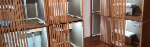 Jedna porodična kuća u blizini Kragujevca postala hotel za ljubimce: Evo šta se unutra dešava!