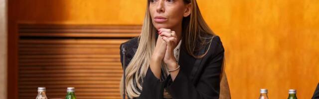 HOĆE DA RUŠE, PALE I UNIŠTAVAJU! Mesarović najoštrije osudila nasilje opozicije: Đilas, Marinika, Novaković, Aleksić i Ćuta su propali političari bez plana