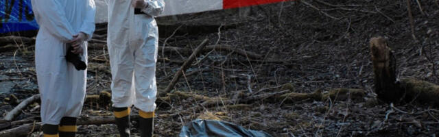 BAGERISTA ISKOPAO LJUDSKU LOBANJU SA KOMPLETNIM SKELETOM! Horor na gradilištu kod Dobanovaca!