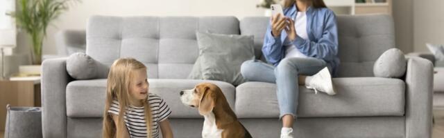 Više od 80 posto roditelja traži odgovore na internetu kada im deca postavljaju pitaju o životinjama