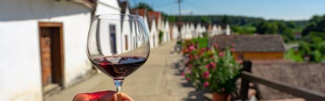 Skriveni dragulj blizu Srbije za ljubitelje vina: Mesto koje odiše posebnom elegancijom