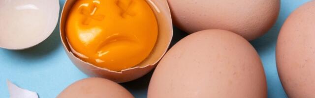 Kako da proverite da li su jaja pokvarena