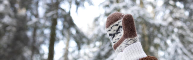 Rukavice na poklon, na drveću: Mala pažnja protiv smrznutih prstiju