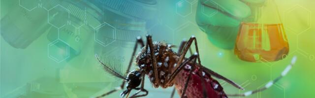 Njihova žeđ za ljudskom krvlju sve je veća: Šokantno otkriće o najsmrtonosnijoj životinji na svetu