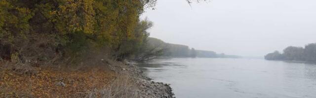 HOROR OTKRIĆE NA DUNAVU! Iz reke isplivao branik sa sve tablicom, a u mulju zatekli horor prizor: Rešena je misterija stara ČITAVU DECENIJU