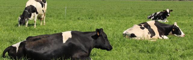Banat pokazao snagu agrara: Održan prvi Mini sajam stočarstva