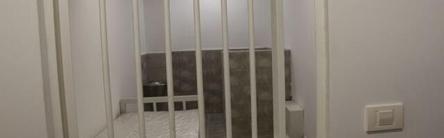 Ukinut pritvor bivšoj gradonačelnici Niša Dragani Sotirovski