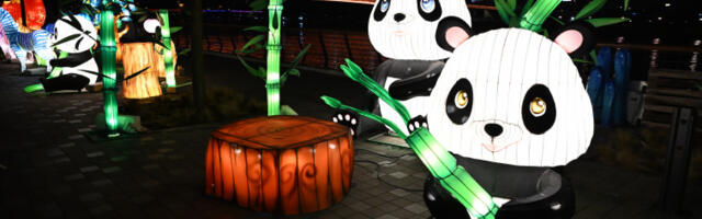 Отворен осми Кинески фестивал светла у Београду на води