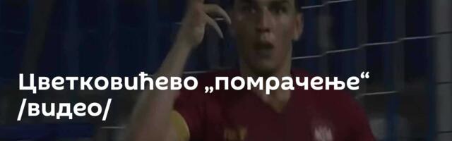 Цветковићево „помрачење“ /видео/