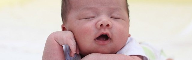 U Novom Sadu za jedan dan rođeno 28 beba, među njima i par blizanaca