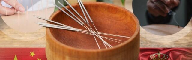 Beograd domaćin prestižnog međunarodnog seminara o tradicionalnoj kineskoj medicini