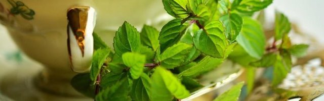 KAKO DA SE ZAŠTITITE OD KORONE? Evo saveta kako da ojačate IMUNI SISTEM, sve je na prirodnoj bazi!