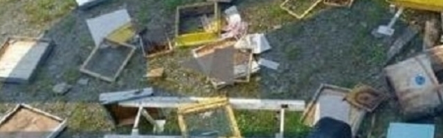 Mečka sa dva mečeta došla kod Budislava na ručak, koštala ga oko dve hiljade evra (FOTO)
