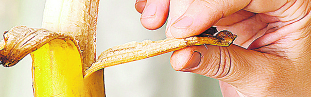 Da li ste se ikada zapitali zašto banane vise sa konopca na pijacama