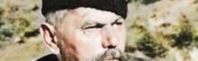 Ko je i zašto ubio Kostu Pećanca?