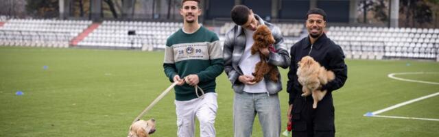 GEST ŽELEZNIČARA NA KOJI NIKO NIJE OSTAO IMUN: Fudbaleri došli sa svojim ljubimcima, pa ostavili sve bez teksta!