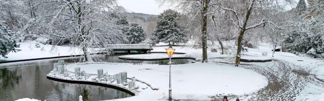 Francuska pod narandžastim meteoalarmom, 34.000 domaćinstava bez struje u Britaniji: Evropa u kandžama zime