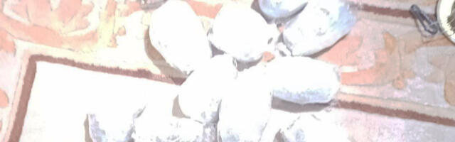 Zaplijena narkotika u Novom Pazaru: Uhapšen mladić, droga skrivena u plafonu