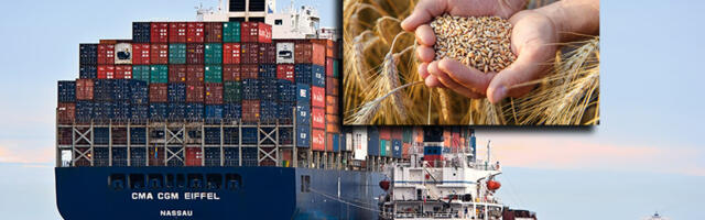 Zelenski: Egipat više neće uvoziti žito sa ukrajinskih teritorija pod ruskom kontrolom