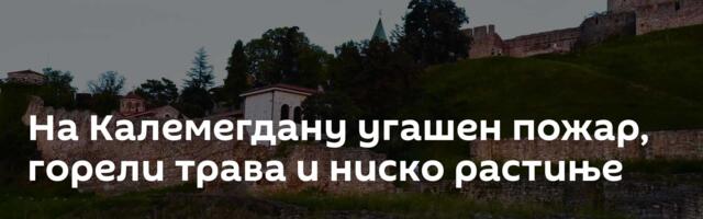 На Калемегдану угашен пожар, горели трава и ниско растиње
