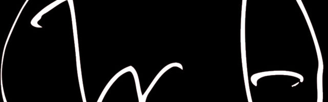 Književni superstar