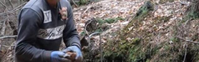 Marko ode u šumu pa dnevno okrene i do 1.025 EVRA: "Zbog toga sam odustao od Nemačke"