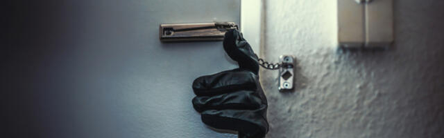 UHAPŠENI MALOLETNICI Mladi a iskusni u obianju