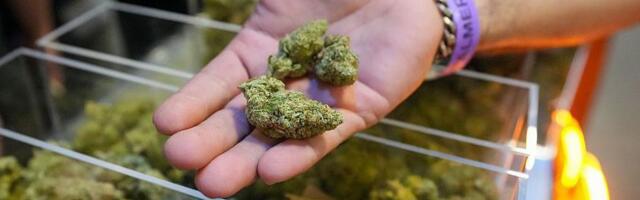 Velika promena u politici: Tramp odobrio širu upotrebu kanabisa