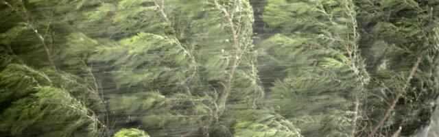 RHMZ upozorava: Udari vetra do 100 kilometara na čas